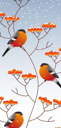 Orange Indoor Bird Live Wallpaper