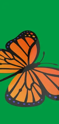 This live phone wallpaper features an exquisite close-up view of a butterfly set against a lush green background in vibrant orange