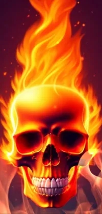 flaming skull Live Wallpaper