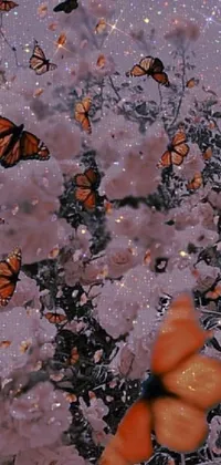 The live phone wallpaper showcases an image of lovely butterflies in flight amid a remarkable, colorized photograph