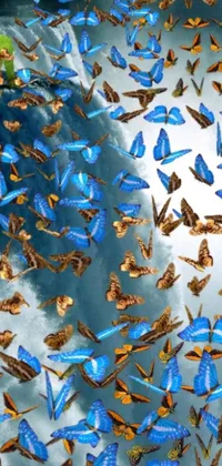 This phone live wallpaper showcases a group of blue butterflies in flight against a surreal sky