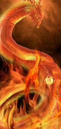 This phone live wallpaper showcases a digital rendering of a fiery dragon and a sacred serpent in intricate detail