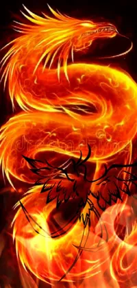 Impress your friends and family with a unique fire dragon live wallpaper for your phone
