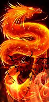 Fire on sale dragon wallpaper