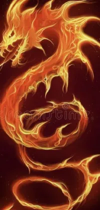 This phone live wallpaper showcases a fierce fire dragon on a dark background, exuding power and mystique