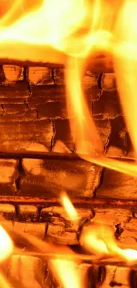 This phone live wallpaper features a stunning image of a close-up fire burning in a brick oven
