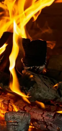 Take the cozy warmth of a fireplace with you wherever you go with this stunning live wallpaper