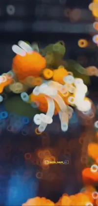 Orange Liquid Glass Live Wallpaper