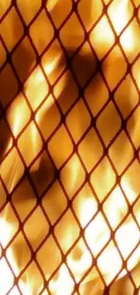 This live phone wallpaper showcases a fiery close-up of flames set against a tan background with net art, fishnet cage design