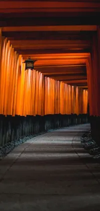 Immerse yourself in the entrancing Tori Tunnel Live Wallpaper