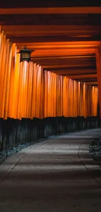This beautiful phone live wallpaper features a dazzling tunnel of orange torii gates adding warmth to your phone's screen