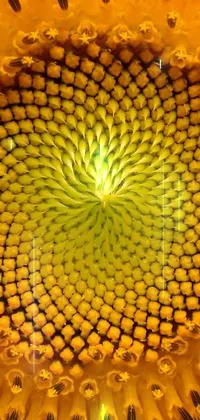 This live wallpaper for your phone showcases a striking sunflower close-up, highlighted by intricate details