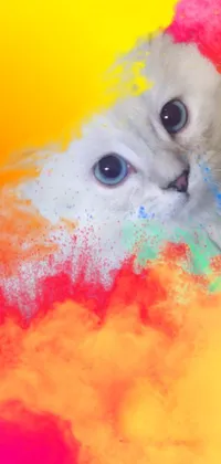 This cat live phone wallpaper features a colorful airbrush inspired painting with furry art and exploding powder over an orange background