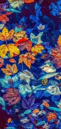 Decorate your phone with this stunning live wallpaper featuring a group of colorful leaves floating on a body of water