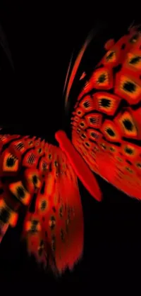 The Butterfly Live Wallpaper is a stunning mobile background featuring an HD close-up view of a butterfly on a black background