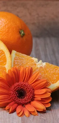 Orange Petal Food Live Wallpaper