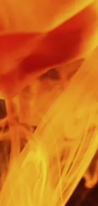 Looking for an immersive live wallpaper for your phone? Check out this fiery creation featuring a close-up shot of a hand holding a cell phone