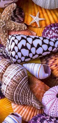 This exquisite live wallpaper showcases a mosaic of brightly colored and luminescent exotic shells arranged in cone shapes
