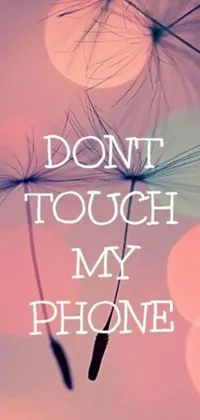 This live phone wallpaper features a striking image of a dandelion with the words "don't touch my phone" in a sleek font