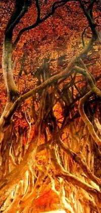 This phone live wallpaper features a digital rendering of dark hedges consumed by flames