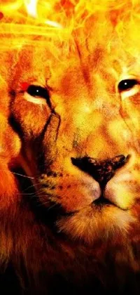 Get this bold phone live wallpaper featuring a close-up of a lion's face, rendered digitally