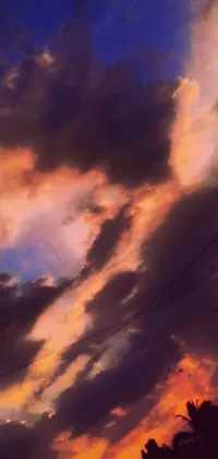 This phone live wallpaper features two kites flying through a cloudy sky during a beautiful sunset