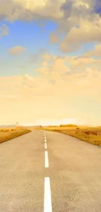 This phone live wallpaper showcases a serene scene of an empty road stretching into the distance on a cloudy day