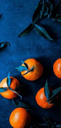 This live wallpaper features a visually appealing still life of oranges resting on a table against a calming blue backdrop