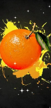 Orange Plant Food Live Wallpaper