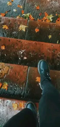 This stunning phone live wallpaper depicts a person at the top of a set of stairs surrounded by wet leaves