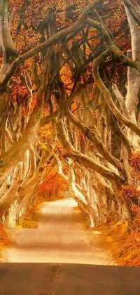 This phone live wallpaper features a digital art rendition of the enchanting Dark Hedges, boasting intricately designed leaves in tones of orange and brown, and glowing white veins that pulsate with life