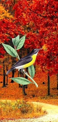 This live phone wallpaper features a lovely autumn forest with a red and yellow bird perched on a leaf-covered tree