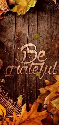 Looking for an awe-inspiring live phone wallpaper that exudes gratitude and warmth? This exceptional digital version features a rustic wooden sign that reads "be grateful," surrounded by a delightful autumn leafy aura, evoking a sense of tranquility