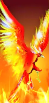 This vibrant live wallpaper features a stunning digital art piece by Ju Lian, showcasing a beautiful red and yellow bird in flight