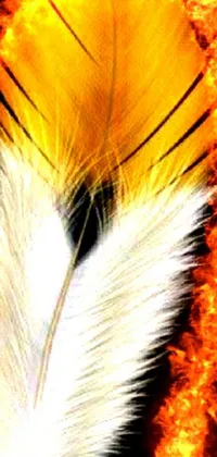 This beautiful phone wallpaper showcases a glowing symbol of the sacral chakra in the center of a feather