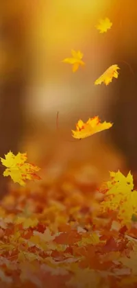 This phone live wallpaper boasts a mesmerizing scene featuring leaves floating in beautiful shades of orange and yellow against a heavenly blue sky