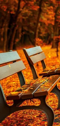 Get lost in the beauty of nature with this wooden benches live wallpaper