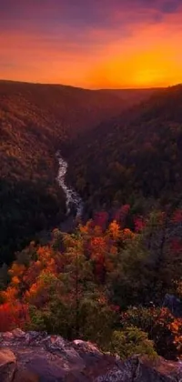 Experience a breathtaking sunset over a mountain valley with this stunning phone live wallpaper