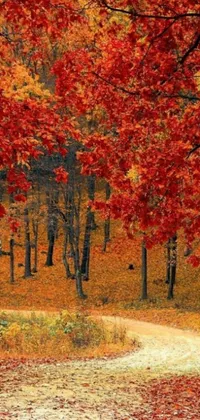 This stunning live wallpaper portrays a tranquil forest landscape featuring countless trees adorned with striking red autumn leaves
