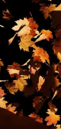 Experience the beauty of fall with this stunning live wallpaper for your phone! Swirling and twirling in the air, these hyperrealistic autumn leaves bring the essence of the season right to your fingertips