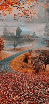 This nature-inspired live wallpaper depicts a picturesque country road with a charming red barn in the distance