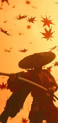 This phone live wallpaper depicts a person with a sword, standing in grass surrounded by autumn leaves falling against a beautiful sunset background