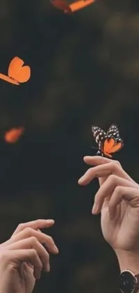 Download this stunning live wallpaper for your phone featuring a gorgeous butterfly with orange and black wings that rests gently on a outstretched hand