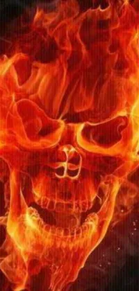 Get the mesmerizing Fire Skull Live Wallpaper for your phone today! The striking 240p image showcases an intricately designed skull engulfed in alluring flames, set against a dark black backdrop