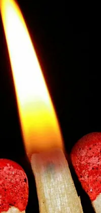 Orange Red Candle Live Wallpaper