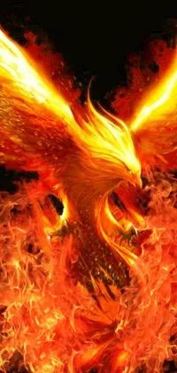 This phone live wallpaper features a striking fire bird on a dark, black background