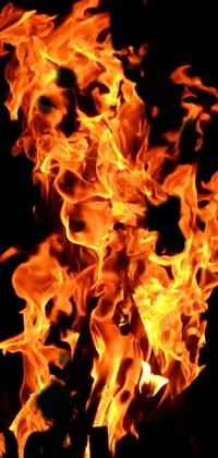 This live wallpaper features an intense close-up of fire depicted in a photo by Rodney Joseph Burn