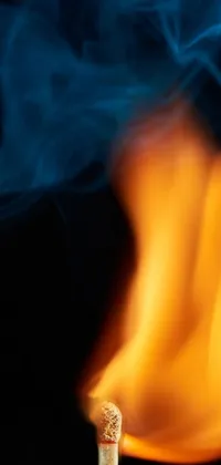 Orange Sky Fire Live Wallpaper