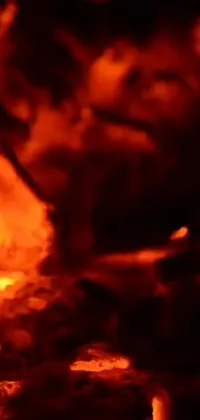 This live wallpaper features a stunningly intense close up view of food cooking on a grill, with mesmerizing flames and vibrant colors dominating the scene