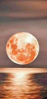 Orange Sky Moon Live Wallpaper